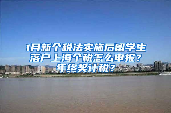 1月新个税法实施后留学生落户上海个税怎么申报？年终奖计税？