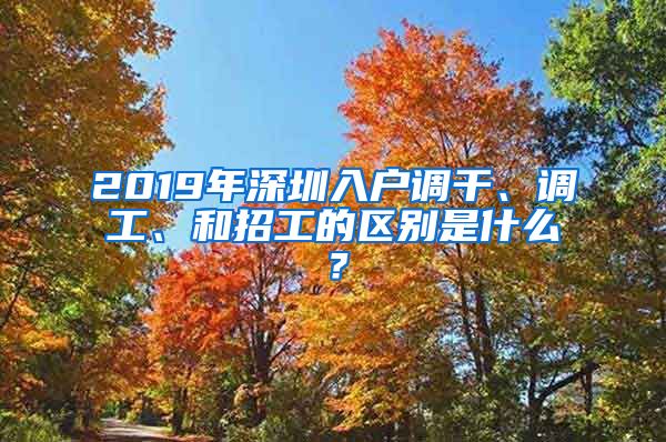 2019年深圳入户调干、调工、和招工的区别是什么？