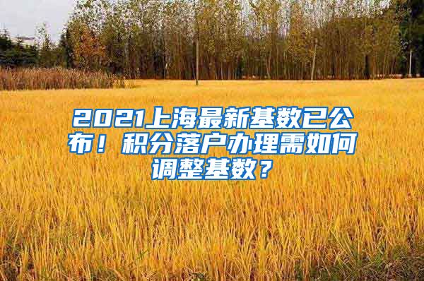 2021上海最新基数已公布！积分落户办理需如何调整基数？