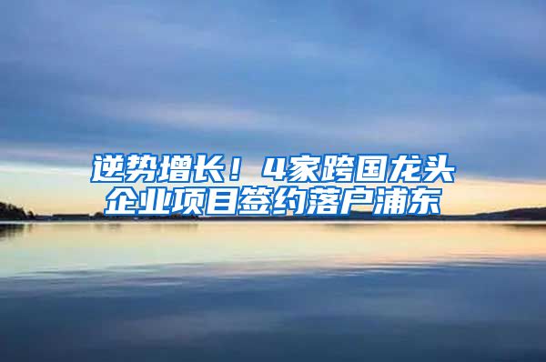 逆势增长！4家跨国龙头企业项目签约落户浦东