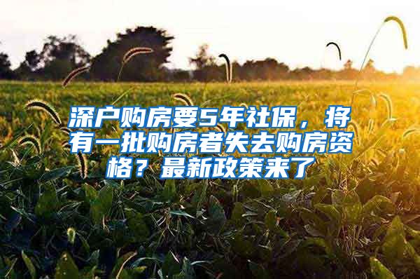 深户购房要5年社保，将有一批购房者失去购房资格？最新政策来了