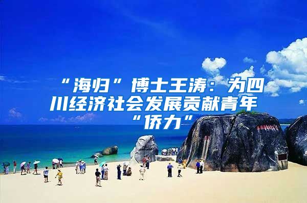 “海归”博士王涛：为四川经济社会发展贡献青年“侨力”