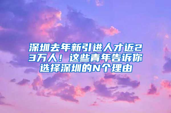 深圳去年新引进人才近23万人！这些青年告诉你选择深圳的N个理由