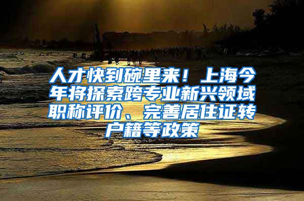 人才快到碗里来！上海今年将探索跨专业新兴领域职称评价、完善居住证转户籍等政策