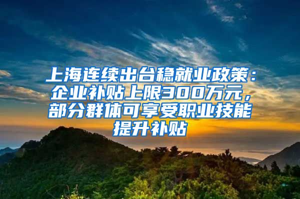 上海连续出台稳就业政策：企业补贴上限300万元，部分群体可享受职业技能提升补贴