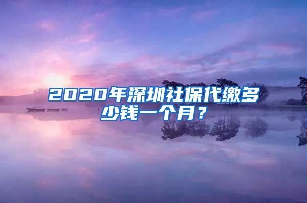 2020年深圳社保代缴多少钱一个月？