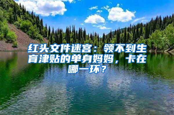 红头文件迷宫：领不到生育津贴的单身妈妈，卡在哪一环？