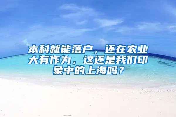 本科就能落户，还在农业大有作为，这还是我们印象中的上海吗？