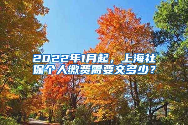 2022年1月起，上海社保个人缴费需要交多少？