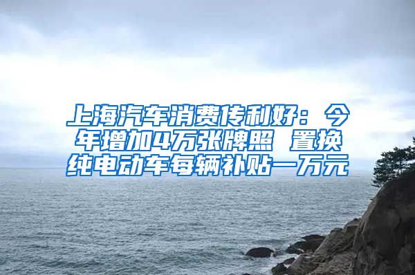 上海汽车消费传利好：今年增加4万张牌照 置换纯电动车每辆补贴一万元