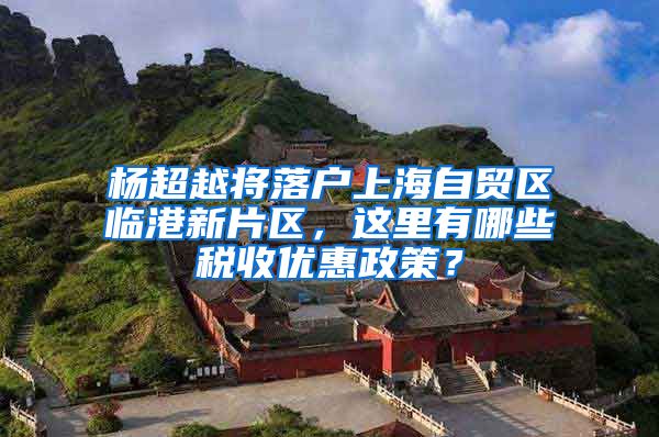 杨超越将落户上海自贸区临港新片区，这里有哪些税收优惠政策？