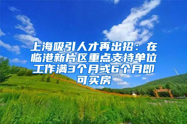 上海吸引人才再出招：在临港新片区重点支持单位工作满3个月或6个月即可买房