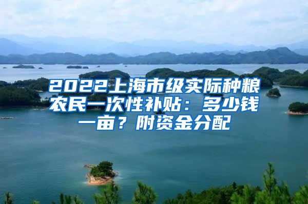 2022上海市级实际种粮农民一次性补贴：多少钱一亩？附资金分配