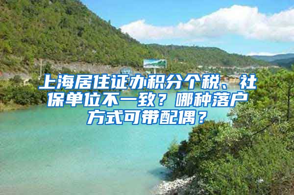 上海居住证办积分个税、社保单位不一致？哪种落户方式可带配偶？