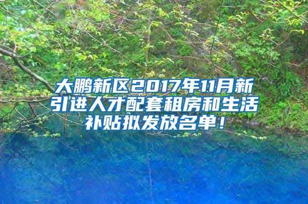 大鹏新区2017年11月新引进人才配套租房和生活补贴拟发放名单！