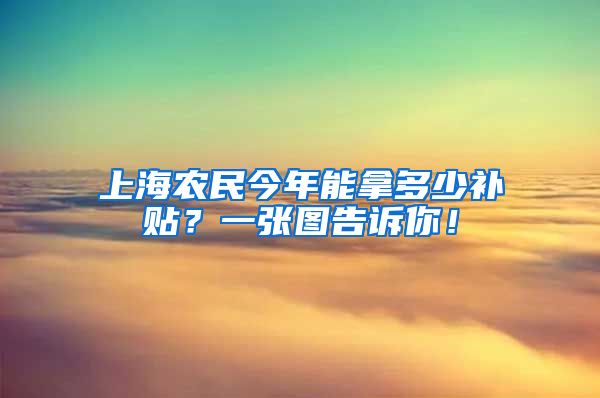 上海农民今年能拿多少补贴？一张图告诉你！