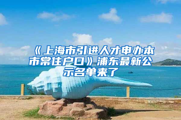 《上海市引进人才申办本市常住户口》浦东最新公示名单来了