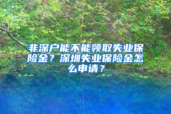 非深户能不能领取失业保险金？深圳失业保险金怎么申请？