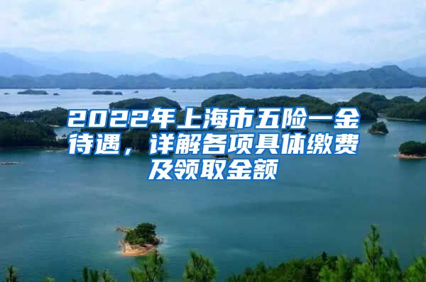 2022年上海市五险一金待遇，详解各项具体缴费及领取金额