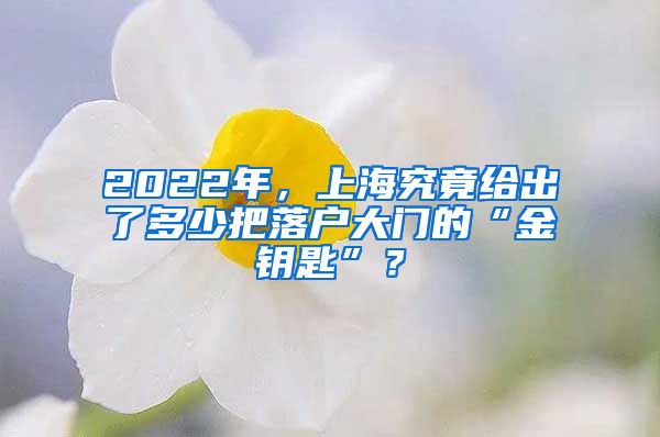 2022年，上海究竟给出了多少把落户大门的“金钥匙”？