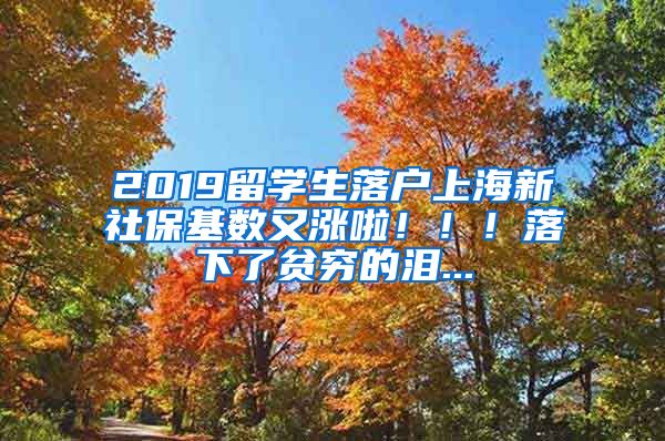 2019留学生落户上海新社保基数又涨啦！！！落下了贫穷的泪...