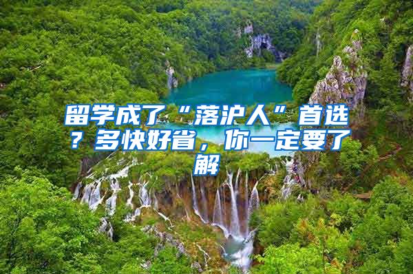 留学成了“落沪人”首选？多快好省，你一定要了解