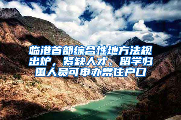 临港首部综合性地方法规出炉，紧缺人才、留学归国人员可申办常住户口