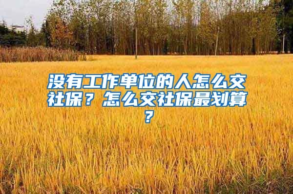 没有工作单位的人怎么交社保？怎么交社保最划算？