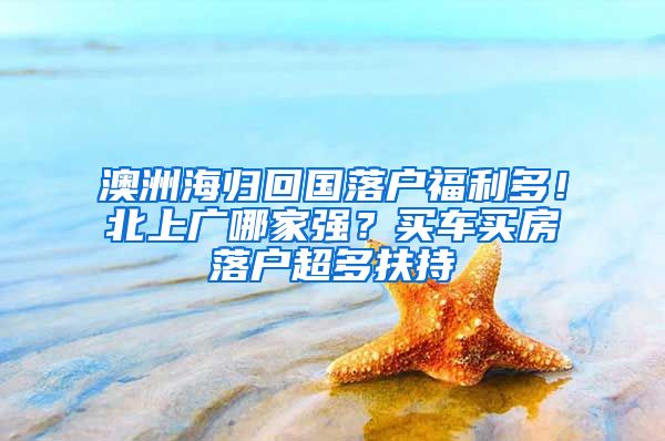 澳洲海归回国落户福利多！北上广哪家强？买车买房落户超多扶持