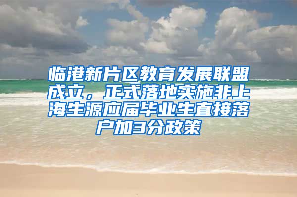 临港新片区教育发展联盟成立，正式落地实施非上海生源应届毕业生直接落户加3分政策