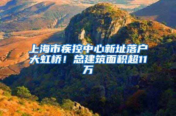 上海市疾控中心新址落户大虹桥！总建筑面积超11万㎡