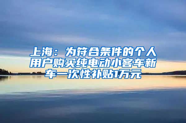 上海：为符合条件的个人用户购买纯电动小客车新车一次性补贴1万元