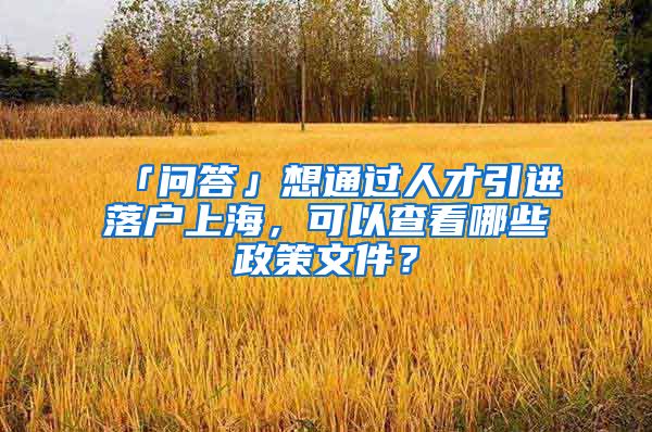 「问答」想通过人才引进落户上海，可以查看哪些政策文件？