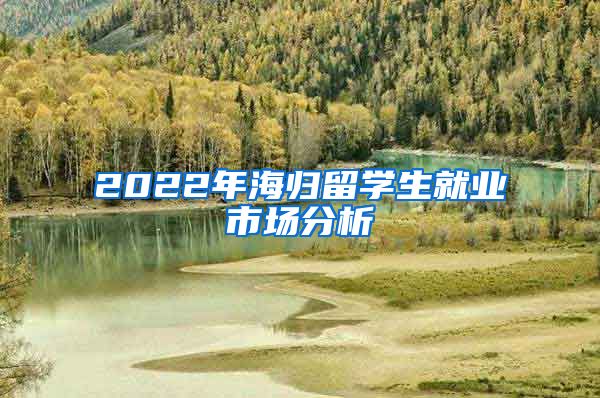 2022年海归留学生就业市场分析