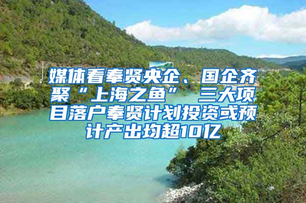 媒体看奉贤央企、国企齐聚“上海之鱼” 三大项目落户奉贤计划投资或预计产出均超10亿