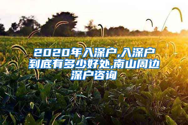 2020年入深户,入深户到底有多少好处,南山周边深户咨询