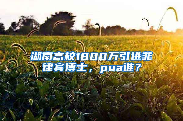 湖南高校1800万引进菲律宾博士，pua谁？