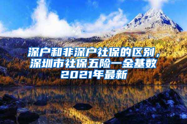 深户和非深户社保的区别，深圳市社保五险一金基数2021年最新