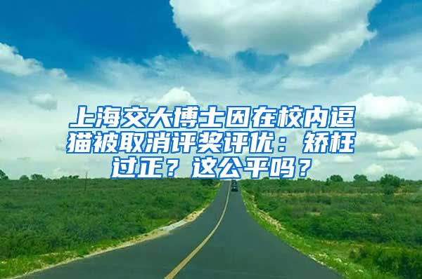 上海交大博士因在校内逗猫被取消评奖评优：矫枉过正？这公平吗？