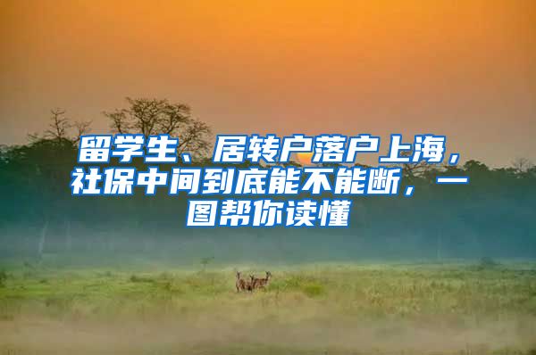 留学生、居转户落户上海，社保中间到底能不能断，一图帮你读懂