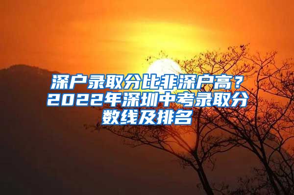 深户录取分比非深户高？2022年深圳中考录取分数线及排名