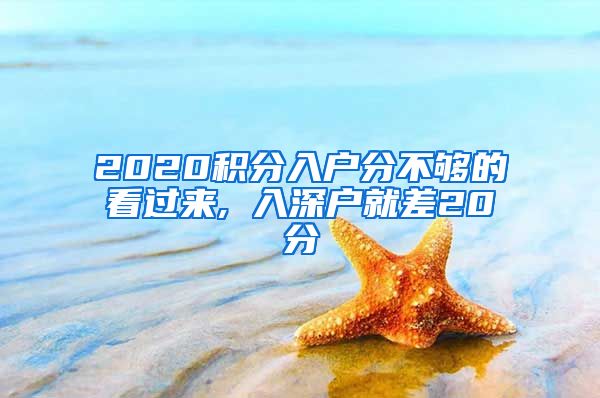 2020积分入户分不够的看过来, 入深户就差20分