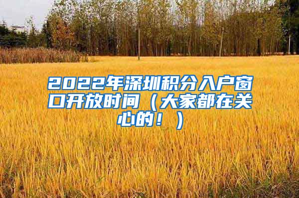 2022年深圳积分入户窗口开放时间（大家都在关心的！）