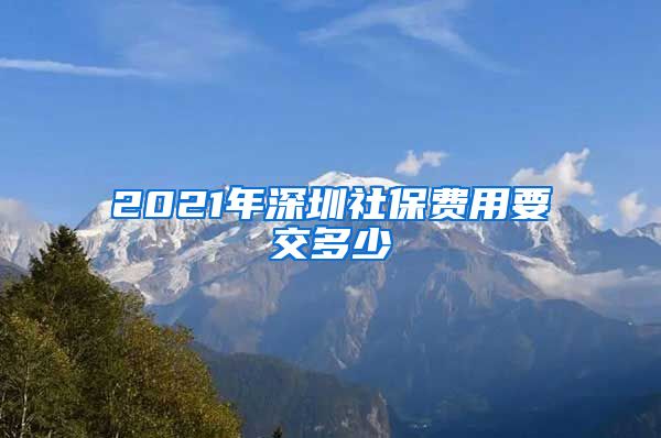 2021年深圳社保费用要交多少