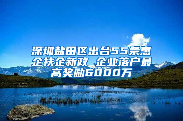 深圳盐田区出台55条惠企扶企新政 企业落户最高奖励6000万