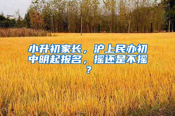 小升初家长，沪上民办初中明起报名，摇还是不摇？