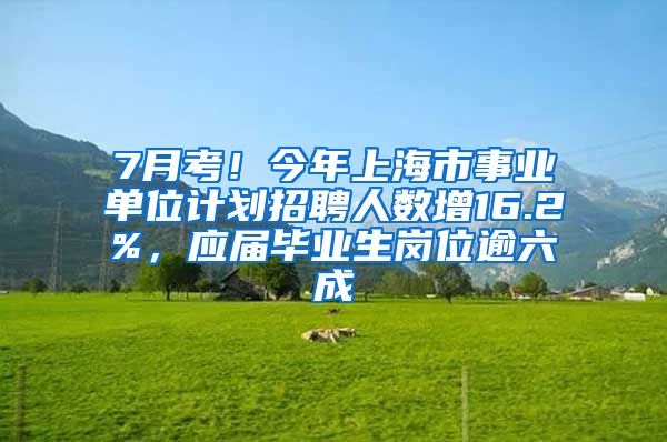 7月考！今年上海市事业单位计划招聘人数增16.2%，应届毕业生岗位逾六成