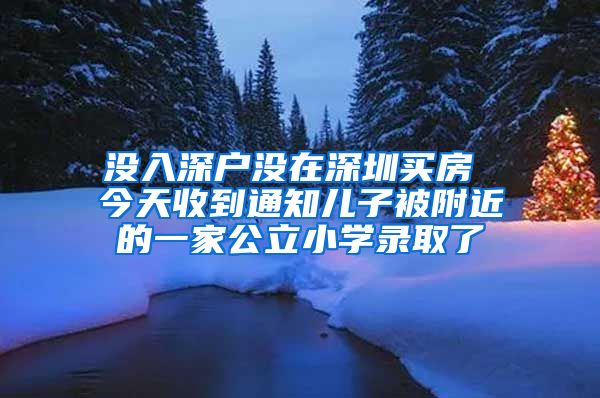 没入深户没在深圳买房 今天收到通知儿子被附近的一家公立小学录取了