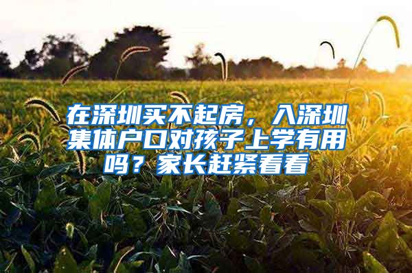 在深圳买不起房，入深圳集体户口对孩子上学有用吗？家长赶紧看看