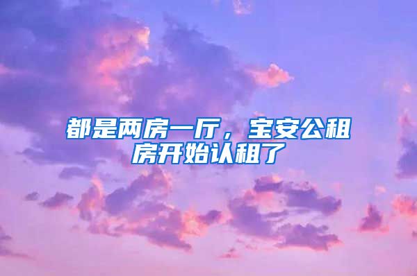 都是两房一厅，宝安公租房开始认租了